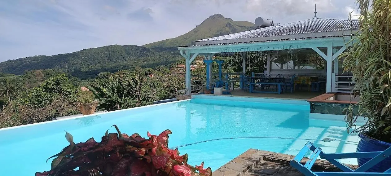 Villa Pelee - Chambre D'Hotes - Gite Tropical Le Morne-Rouge