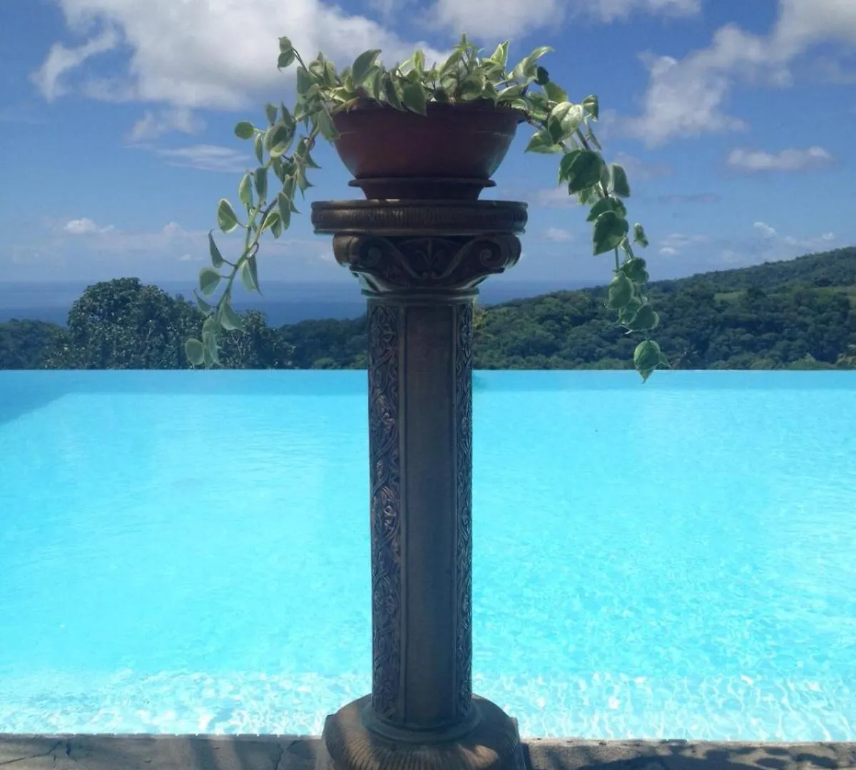 Villa Pelee - Chambre D'Hotes - Gite Tropical Le Morne-Rouge Guest house